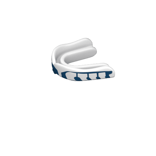 Royal Blue & White - royal-white