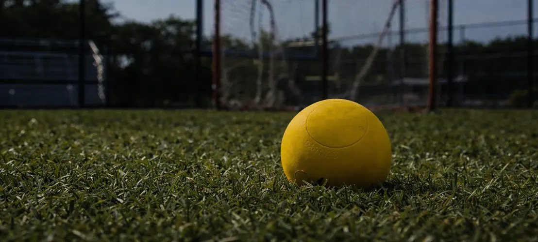 Certified Lacrosse Balls